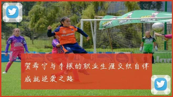 贺希宁与李根的职业生涯交织自律成就逆袭之路