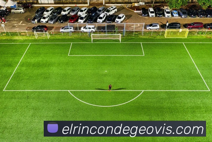 fifa中文官网入口平台生态图